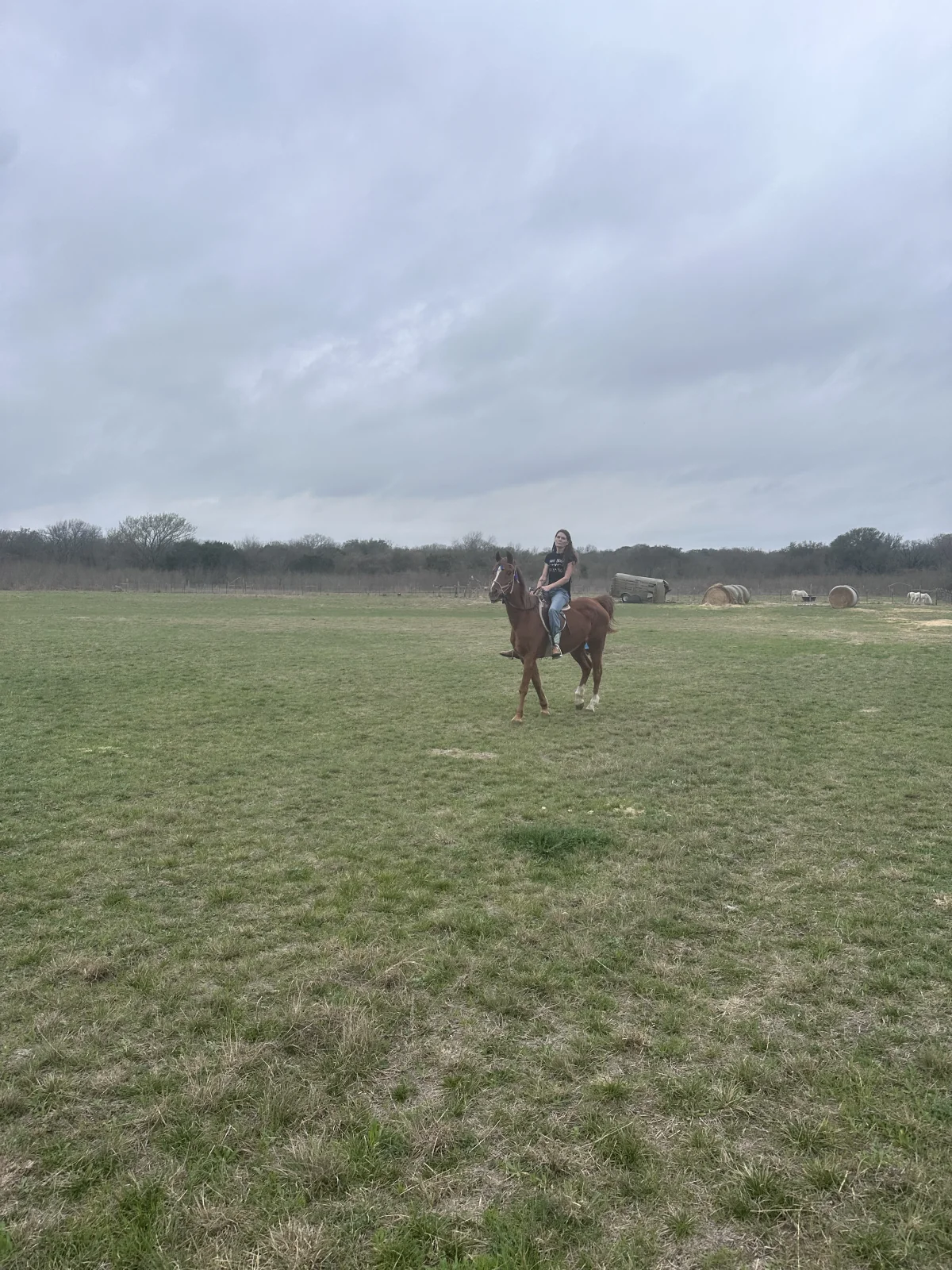 A guest riding a horse across the field at Blue Dragon Hollow