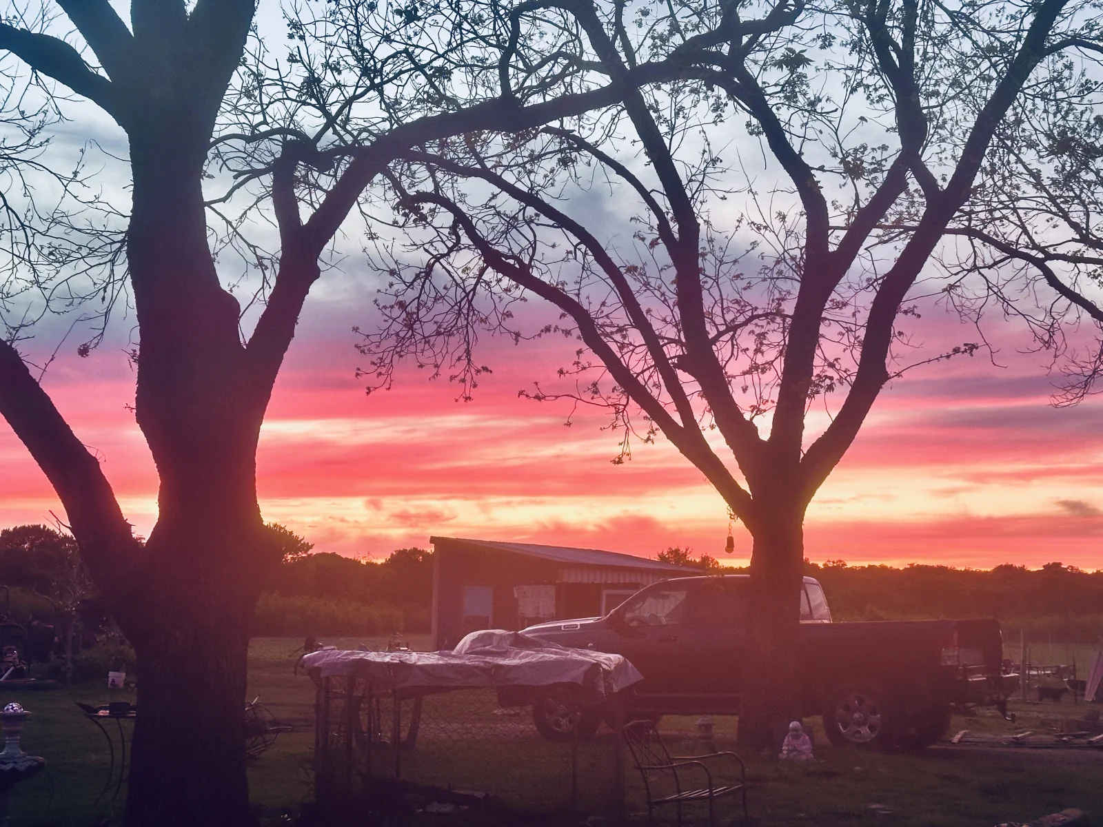 Sunset over Blue Dragon Hollow Farm in Blum, Texas