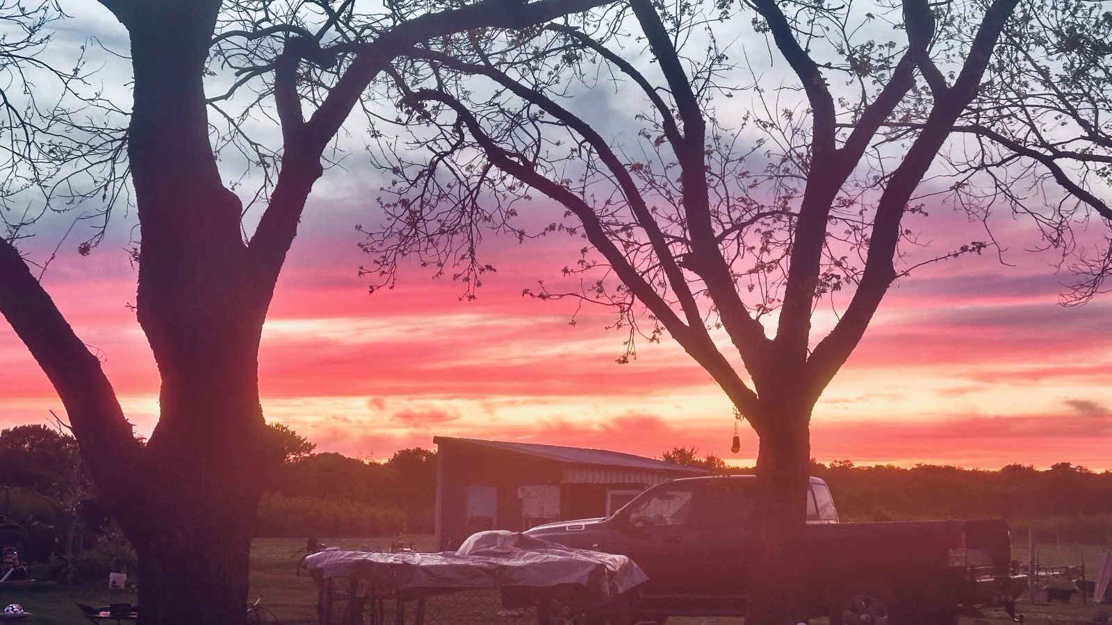 Blue Dragon Hollow Farm — fresh from the field